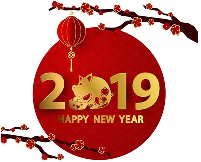 泰诺关于2019年春节放假安排